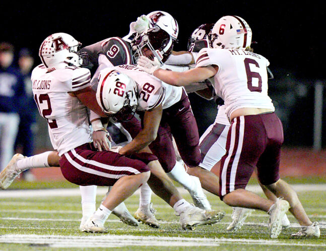 AAHS puts up valiant effort in loss